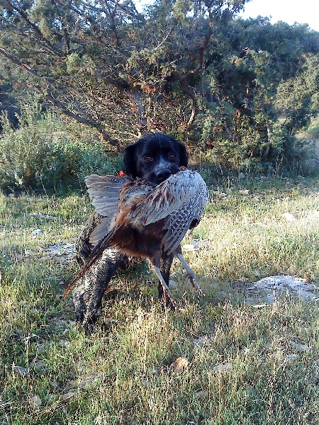 Uris du Domaine de Bres