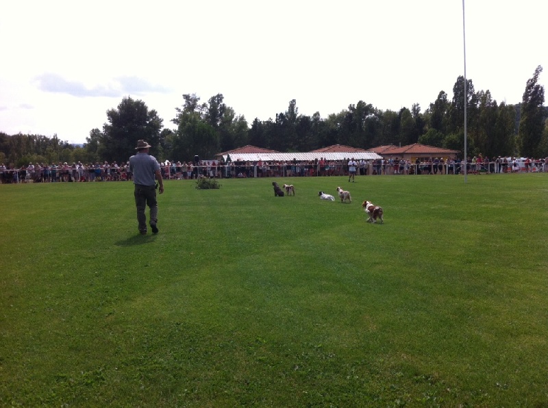 Fête de la chasse